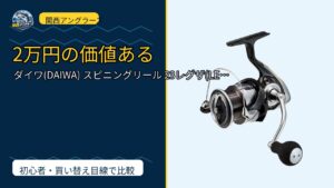 ダイワ(DAIWA) スピニングリール 23レグザ(LEXA) 2500~…を動画レビュー｜関西の釣り場で使いやすいかのサムネイル