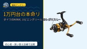 ダイワ(DAIWA) スピニングリール 23レガリス LT 1000S~6…を動画レビュー｜関西の釣り場で使いやすいかのサムネイル