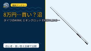 ダイワ(DAIWA) エギングロッド EMERALDAS STOIST RT(エメ…は買い？Amazonレビューと関西の釣り場目線で検証のサムネイル