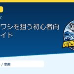 泉南でイワシを狙う初心者向け準備ガイドのサムネイル