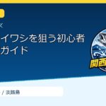 淡路島でイワシを狙う初心者向け準備ガイドのサムネイル