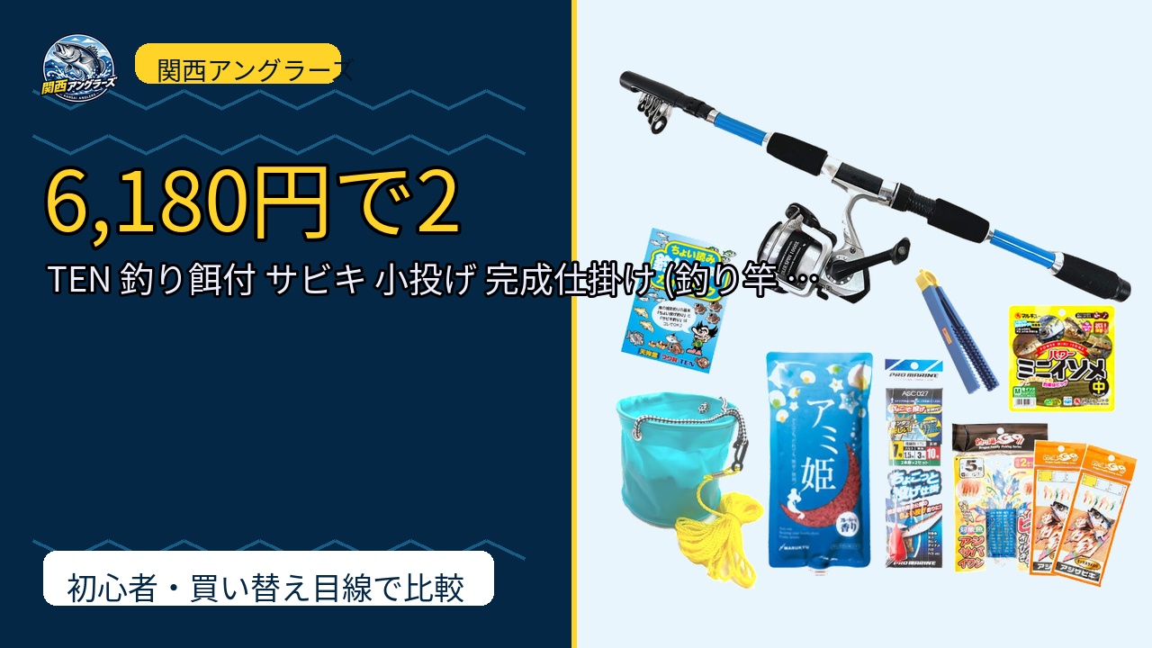 TEN 釣り餌付 サビキ 小投げ 完成仕掛け (釣り竿 仕掛け餌 釣り道具)のレビュー記事アイキャッチ