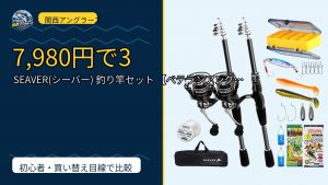 SEAVER(シーバー) 釣り竿セット 【ベテランアングラー監修】 サビキ 穴釣り…のレビュー記事アイキャッチ